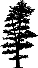 Árbol