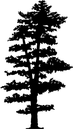 Árbol